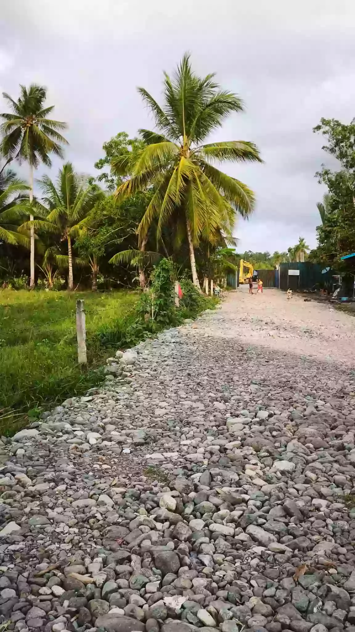 Rush Sale: Agricultural Lot in Abilan, Buenavista — 1000 sqm — Agricultural Lot in Buenavista, Agusan del Norte, 8601 — Photo 4