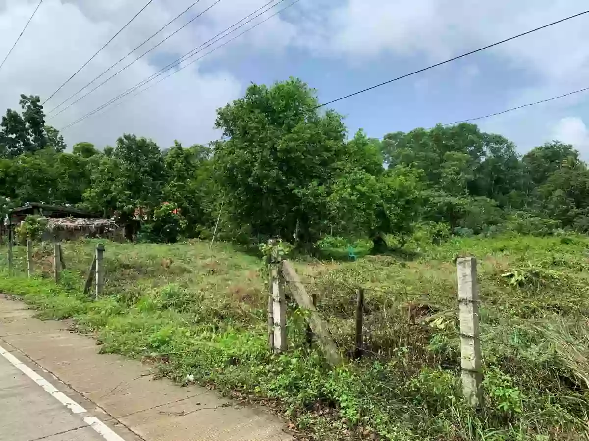1631 sqm Residential Lot for Sale in Piña, Buenavista — Residential Lot in Piña, Buenavista, Guimaras — Photo 4