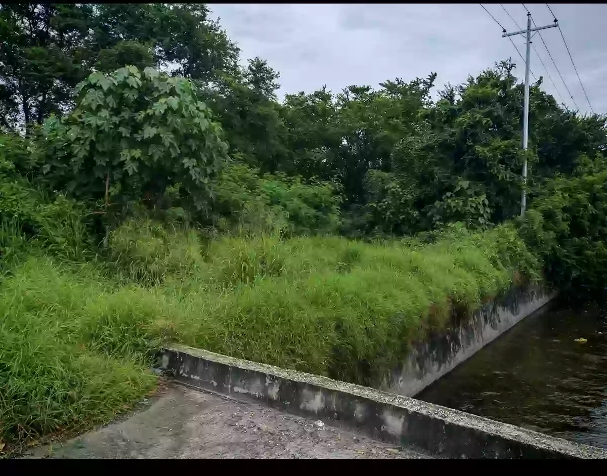 3125sqm. Commercial Lot — Commercial Lot in uhaw, Tambler, General Santos City — Photo 6