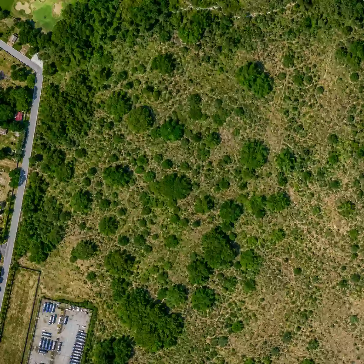 Rush Sale: 69,879 SQM INDUSTRIAL LAND BELOW ZONAL VALUE Strategically Located Along Crisanto M. De Los Reyes Avenue, General Trias, Cavite — Industrial Lot in Gen. Trias, Cavite, 4107 — Photo 3