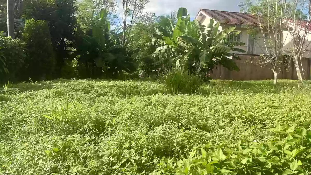 For Sale: Residential Lot in Panipuan, Mexico, Pampanga — 336 sqm — Residential Lot in Panipuan, Mexico, Pampanga — Photo 3