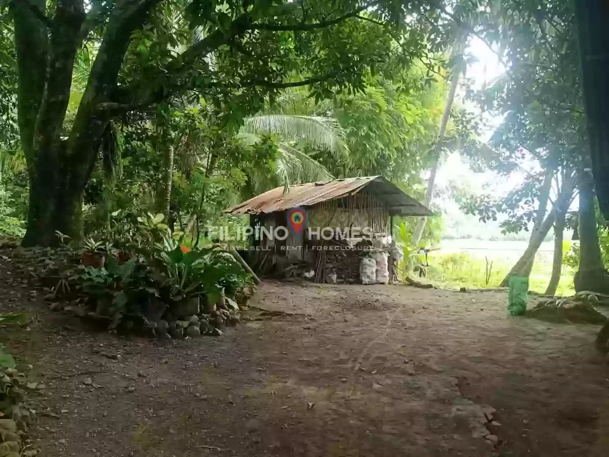 For Sale: Agricultural Lot in Sinawingan, Libungan — 15460 sqm — Agricultural Lot in Libungan, Cotabato, 9411 — Photo 5