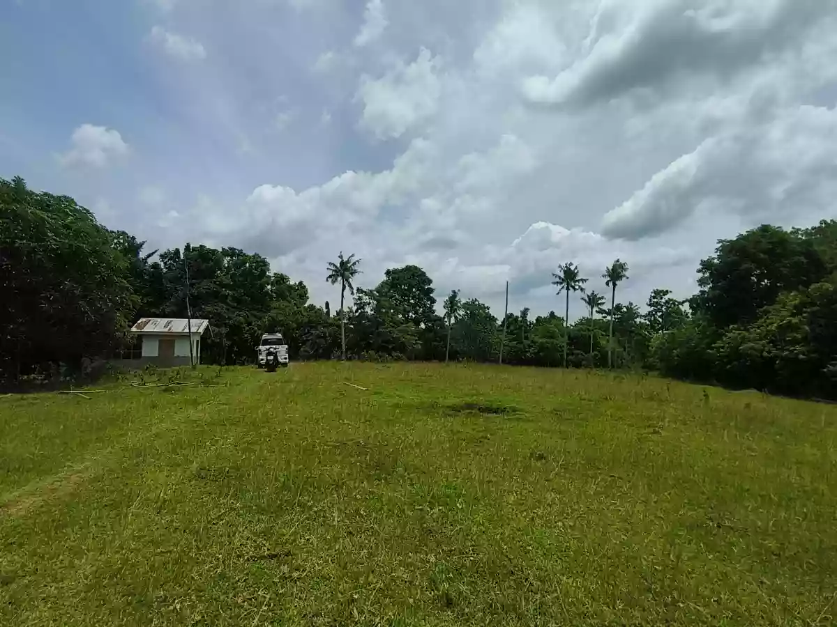 Farm Lot For Sale for only 140 pesos per sqm — Agricultural Lot in San Miguel, Bohol, 6323 — Photo 2