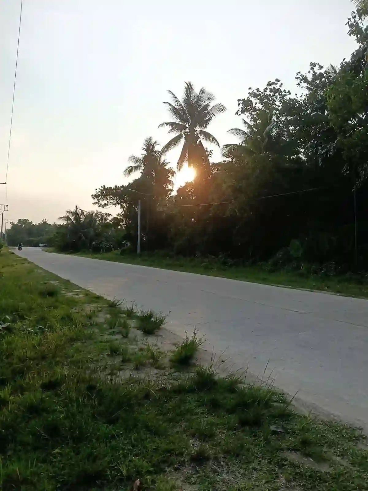 For Sale: Residential Lot in New Agutaya, San Vicente — Residential Lot in San Vicente, Palawan, 5309 — Photo 4