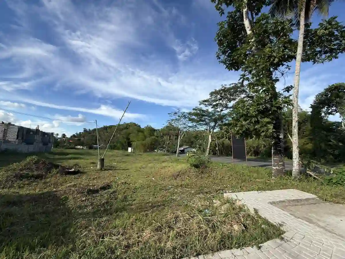For Sale: Commercial Lot in Mabini, Placer — 3135.48 sqm — Commercial Lot in Placer, Surigao del Norte, 8405 — Photo 5