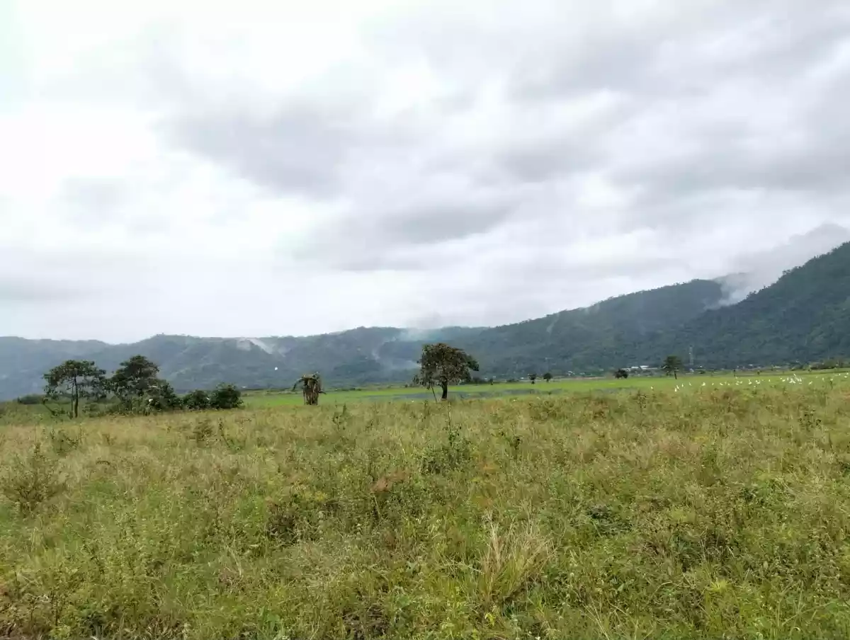 For Sale: 20892 sqm Agricultural Lot in Magsaysay, Jabonga — Agricultural Lot in Jabonga, Agusan del Norte, 8607 — Photo 5