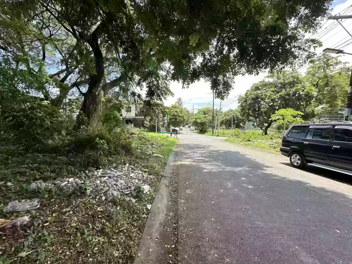For Sale: 256 sqm Residential Corner Lot in BF Homes Phase 1, north Caloocan City — Residential Lot in Barangay 169, Caloocan City, Metro Manila — Photo 5