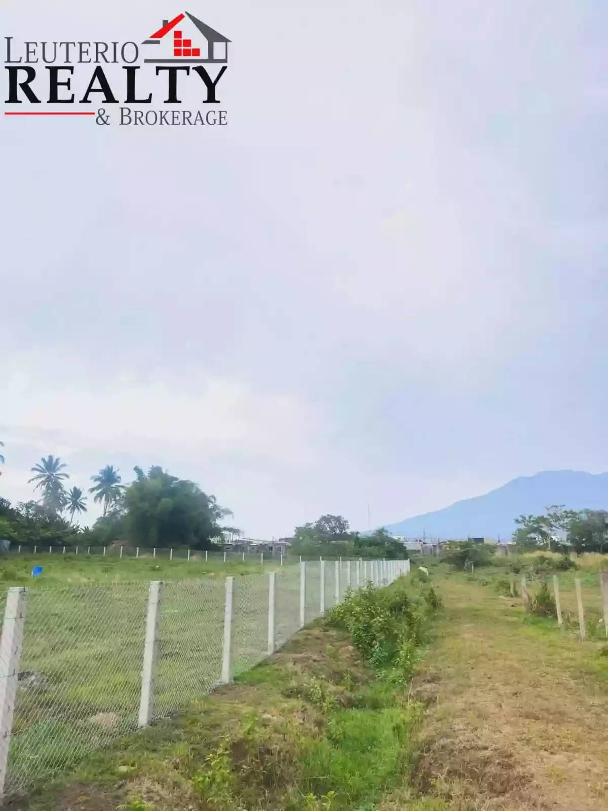Raw land for sale in Pacol, Naga City - 4,000 sqm — Agricultural Lot in Naga City, Camarines Sur, 4400 — Photo 4
