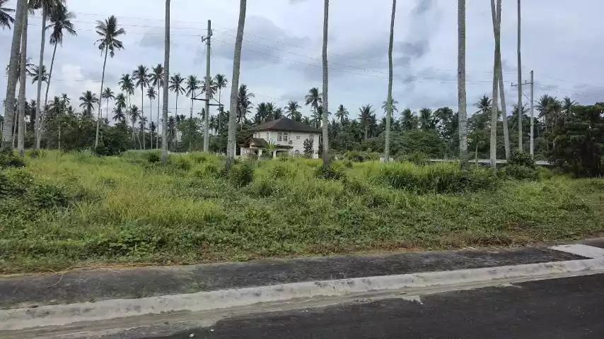 For Sale: Residential Lot in Bulakin, Tiaong, Quezon — 602 sqm — Residential Lot in Tiaong, Quezon, 4325 — Photo 3