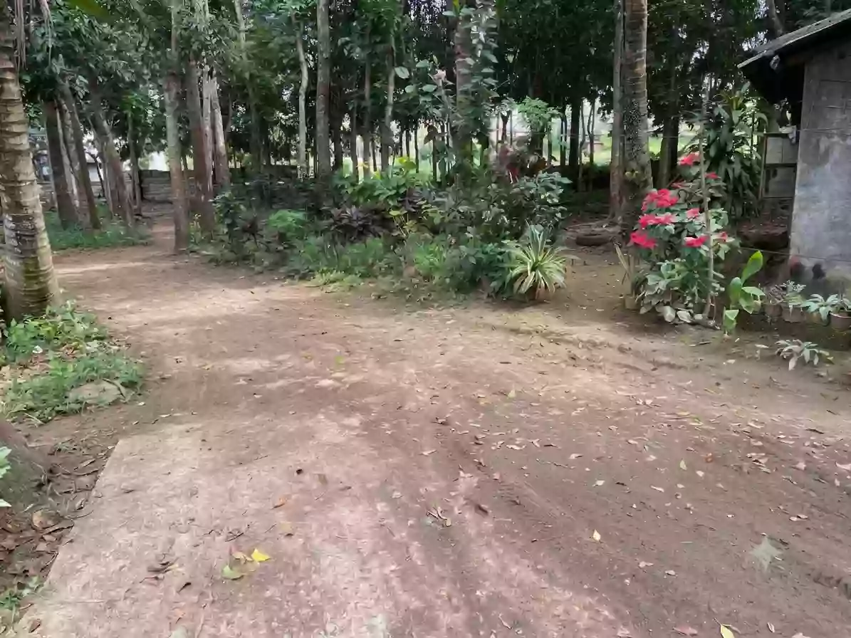 For Sale: Agricultural Lot in Lalaan I, Silang — 1,000 sqm — Agricultural Lot in Silang, Cavite, 4118 — Photo 6