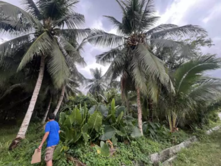 LOT FOR SALE - photo 2