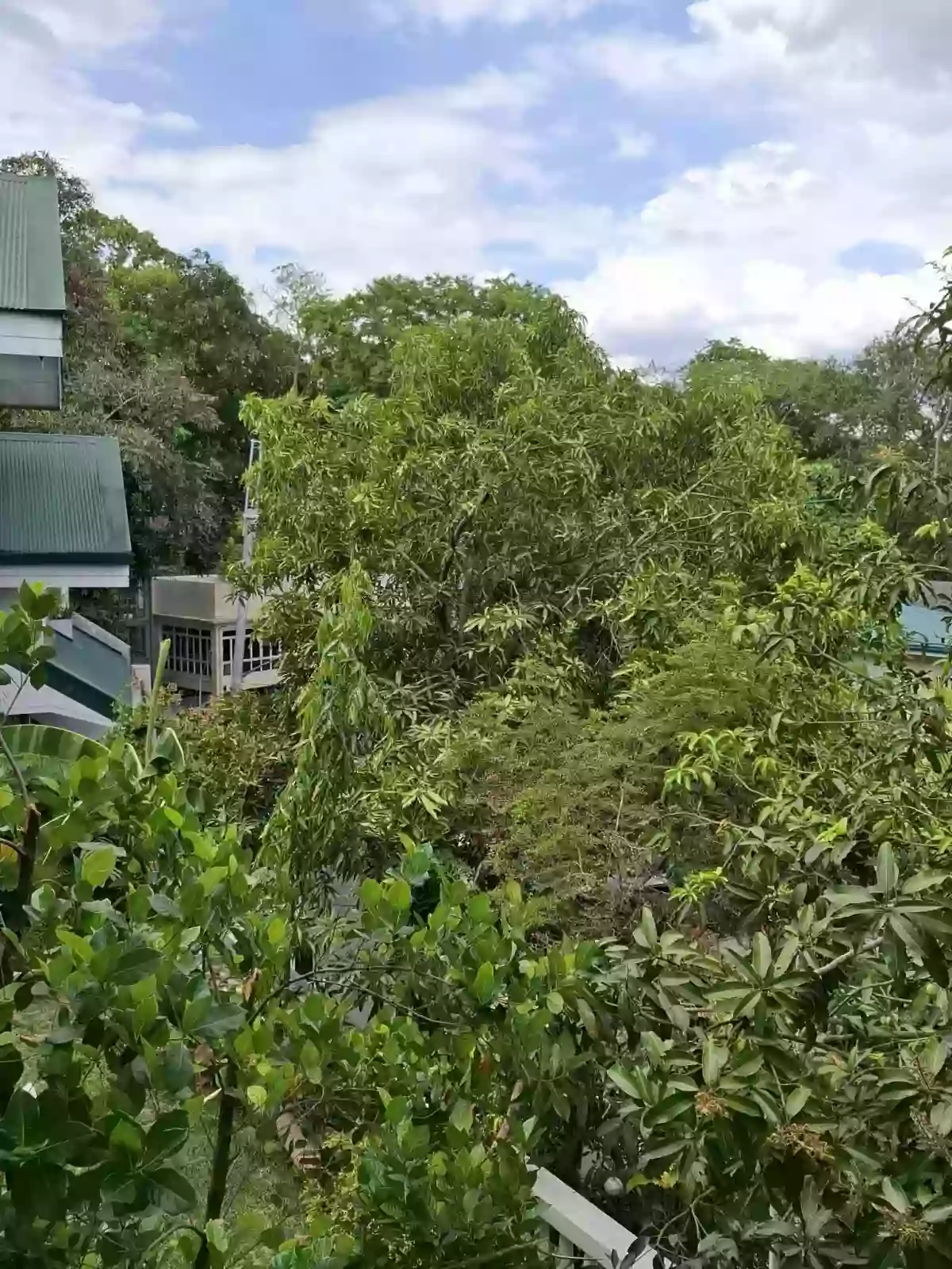 Blue Ridge A House and Lot for Sale in Quezon City — 4-Car Garage — House and Lot in Blue Ridge A, Quezon City, Metro Manila — Photo 6