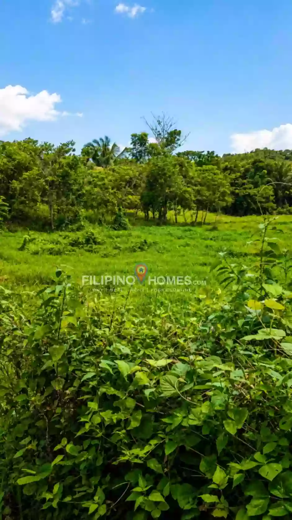 For Sale: Agricultural Lot Near North Cotabato Academy, Pigkawayan — 79556 sqm — Agricultural Lot in Pigkawayan, Cotabato, 9412 — Photo 2