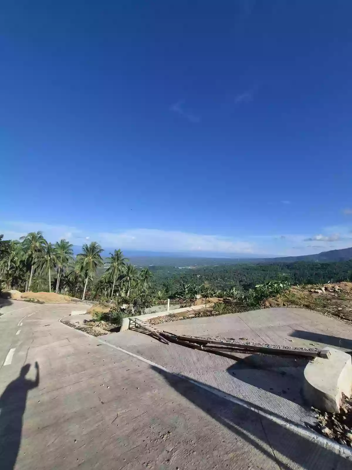 For Sale: Overlooking Lot in San Antonio, Sibulan — 660 sqm — Residential Lot in Sibulan, Negros Oriental, 6201 — Photo 7