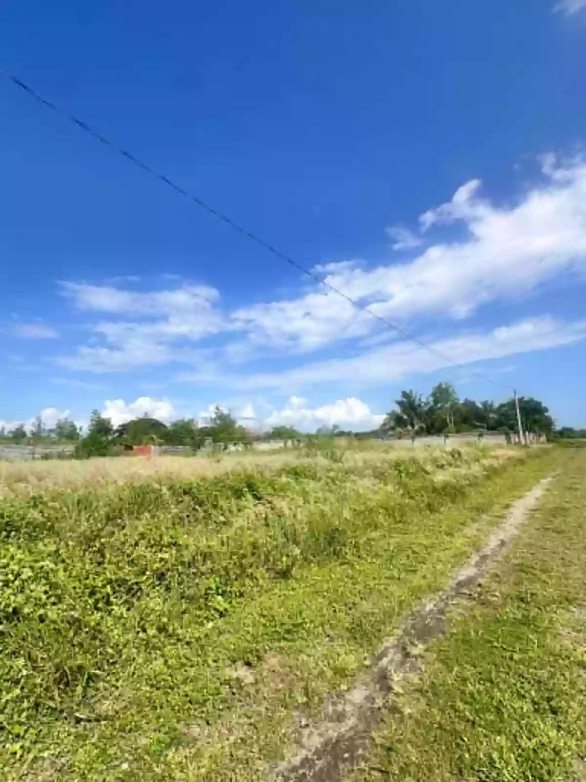 For Sale: Primeland Subd. Residential Lot in Mabuhay, General Santos City — Investment — Residential Lot in Mabuhay, General Santos City, South Cotabato — Photo 7