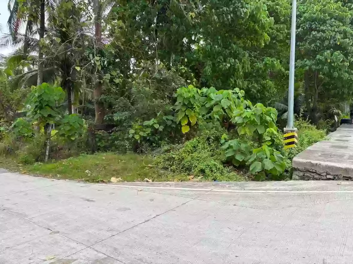 For Sale: Residential Lot in Lutao, Bacung — 400 sqm — Residential Lot in Bacung, Negros Oriental, 6216 — Photo 2