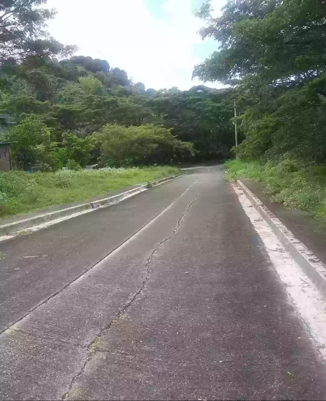 For Sale: Residential Lot in Pulangbato, Cebu City — 171 sqm — Residential Lot in Cebu City, Cebu, 6000 — Photo 2