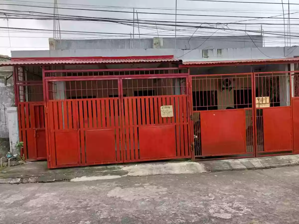 For Sale: 4BR House and Lot in Del Rosario, Naga City