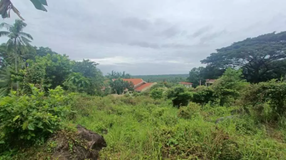 For Sale: Prime Overlooking Lot in Valencia, Negros Oriental/ Dumaguete City - photo 3
