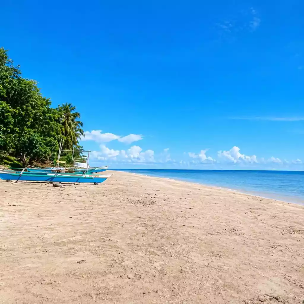 For Sale: Beach Lot in Napsan, Puerto Princesa City — 12628 sqm — Beach Lot in Puerto Princesa City, Palawan, 5300 — Photo 5