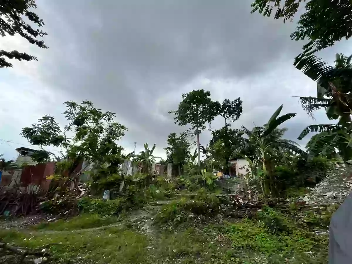 Commercial-Residential Lot for Sale in V.Rama, Guadalupe, Cebu City — Residential Lot in Guadalupe, Cebu City, Cebu — Photo 6