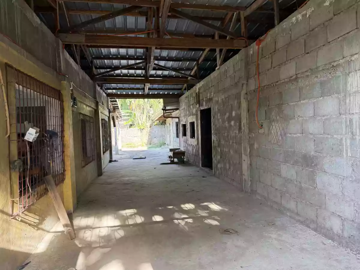 For Sale: 3BR House and Lot in Anahaw, Alegria — Fully Fenced — House and Lot in Alegria, Surigao del Norte, 8425 — Photo 2