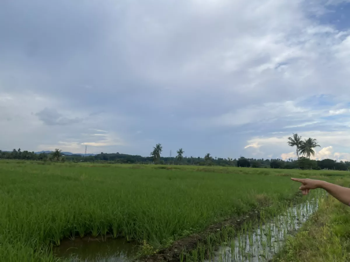 For Sale: Agricultural Lot in Calinan (Pob.), Davao City — 17000 sqm