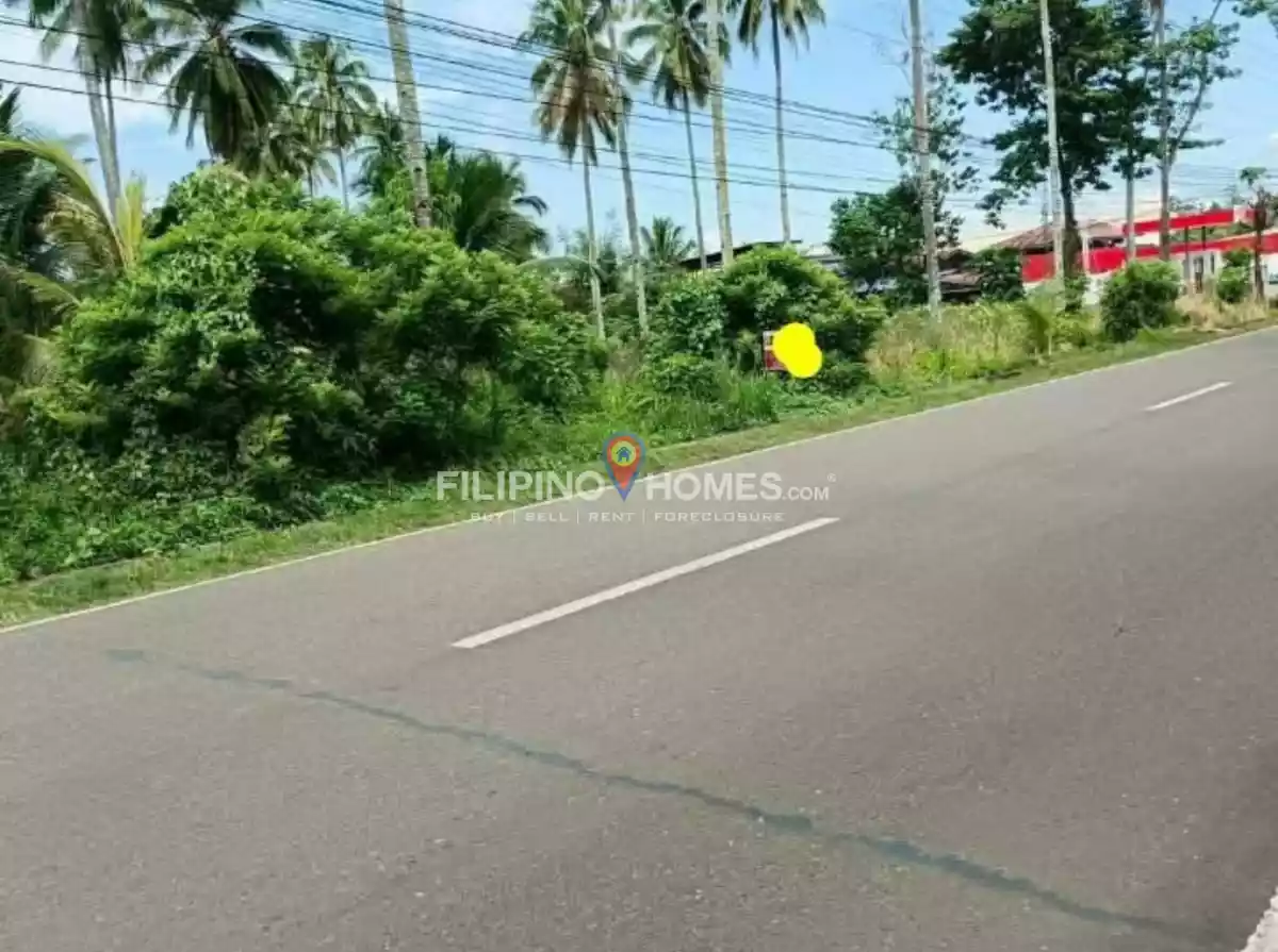 For Sale: Agricultural Lot in Poblacion, Magpet — 1031 sqm — Agricultural Lot in Magpet, Cotabato, 9404 — Photo 3