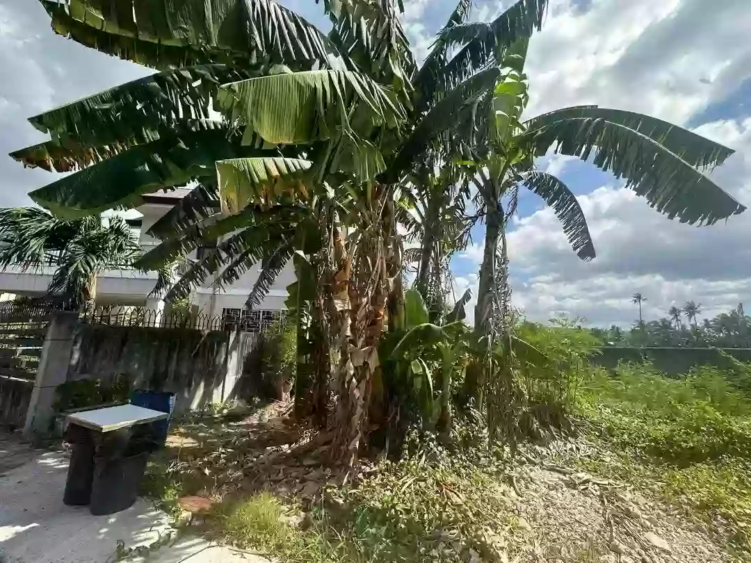 Corona del Mar Residential Lot for Sale in Pooc, Talisay City, Cebu — Residential Lot in Talisay City, Cebu, 6045 — Photo 3