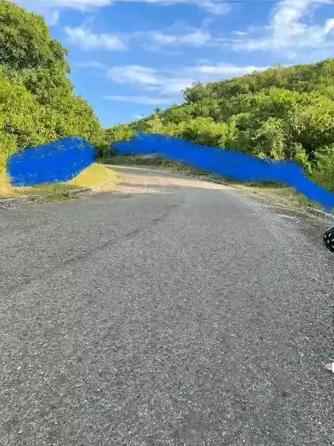 For Sale: Residential Lot in Sabang, Danao City — 3081 sqm — Residential Lot in Danao City, Cebu, 6004 — Photo 5