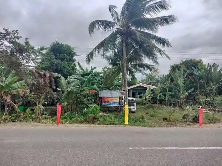 Agricultural Lot for Sale Near Tutay Elementary School, Pinamungahan — 10315 sqm — Agricultural Lot in Pinamungahan, Cebu, 6039 — Photo 5
