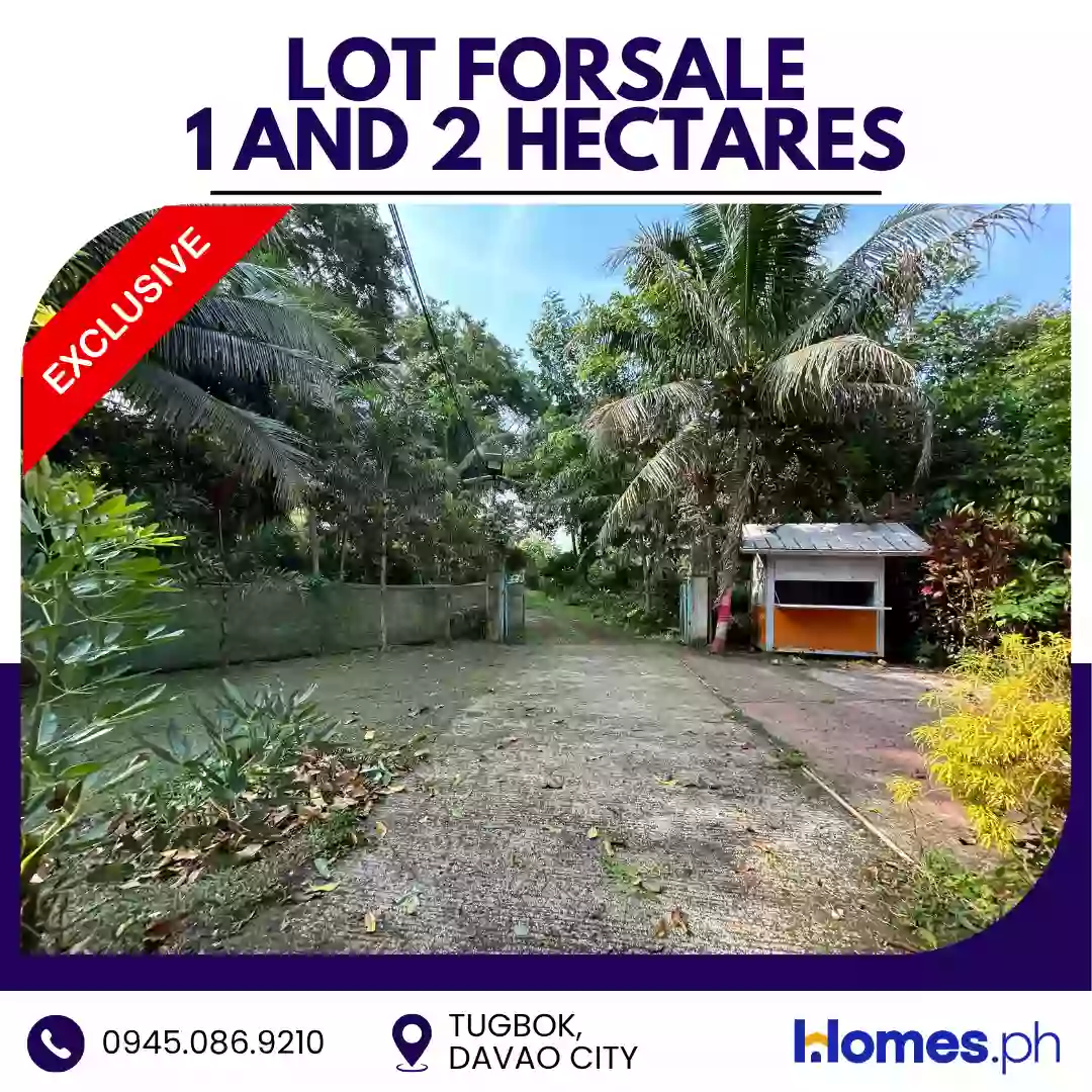Open photo 15 of 16 — For Sale: Residential Lot in Tugbok (Pob.), Davao City — 30000 sqm