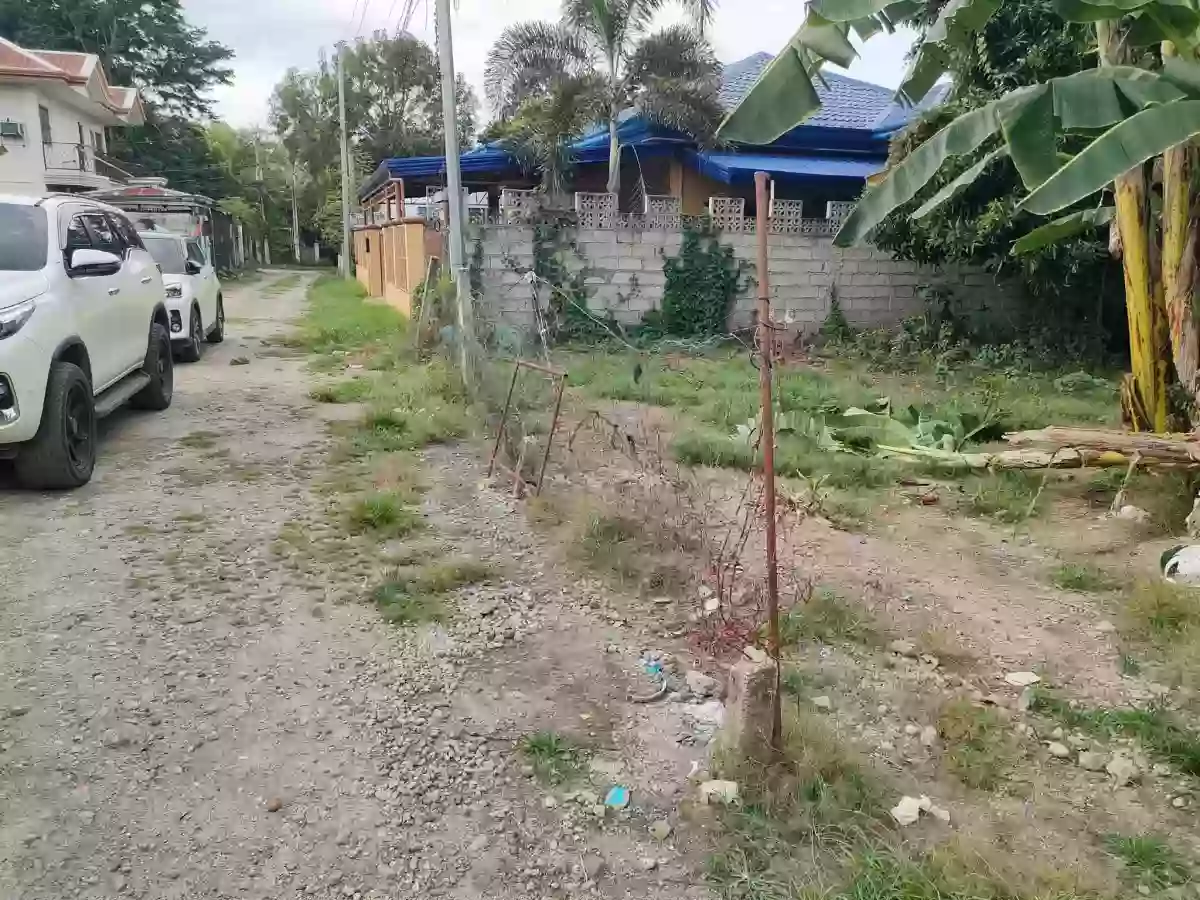 For Sale: Residential Lot in Camanjac, Dumaguete City — 300 sqm — Residential Lot in Dumaguete City, Negros Oriental, 6200 — Photo 4