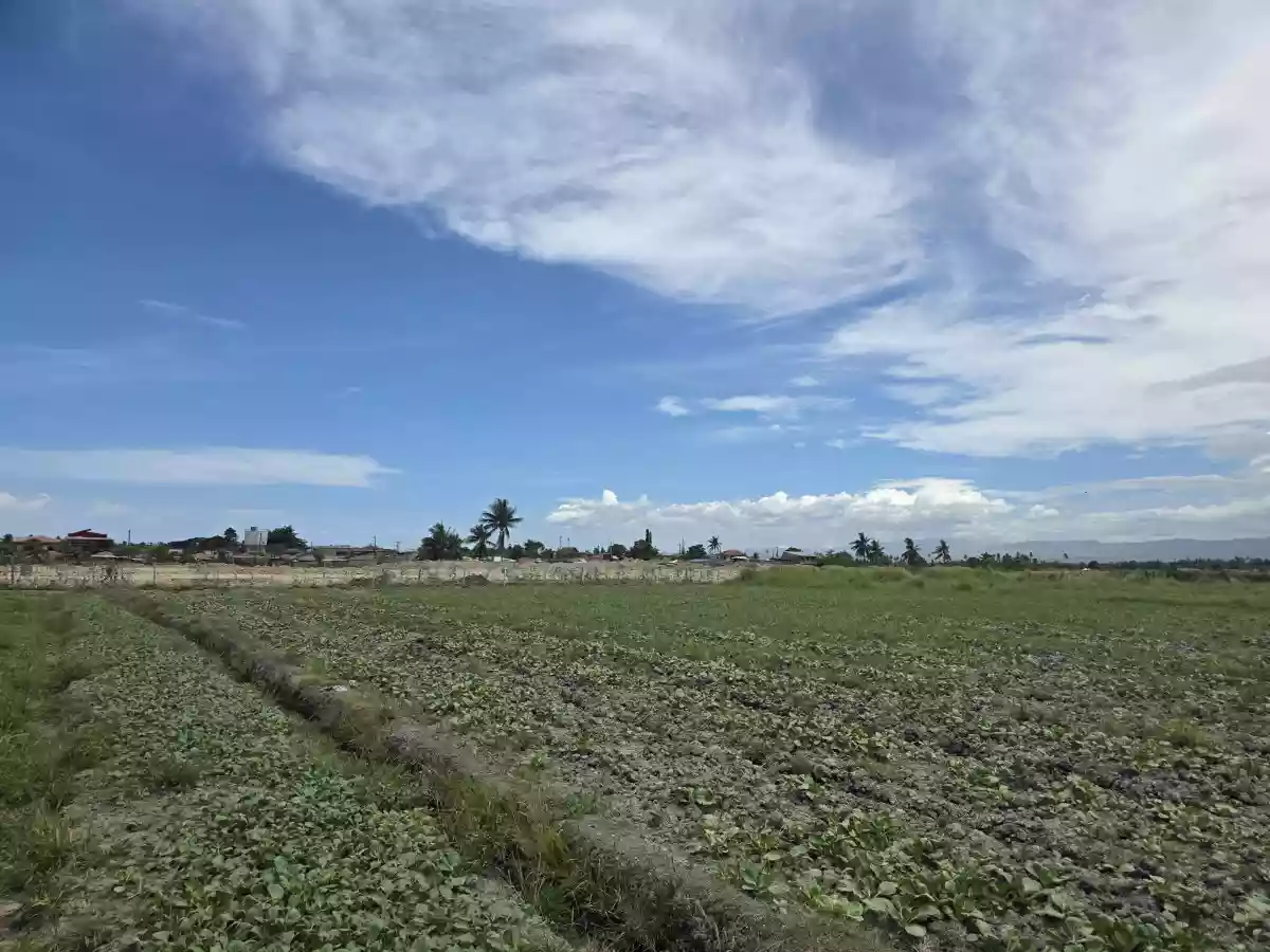 Two  Adjacent Residential Lots of 1,198sqm each for Sale