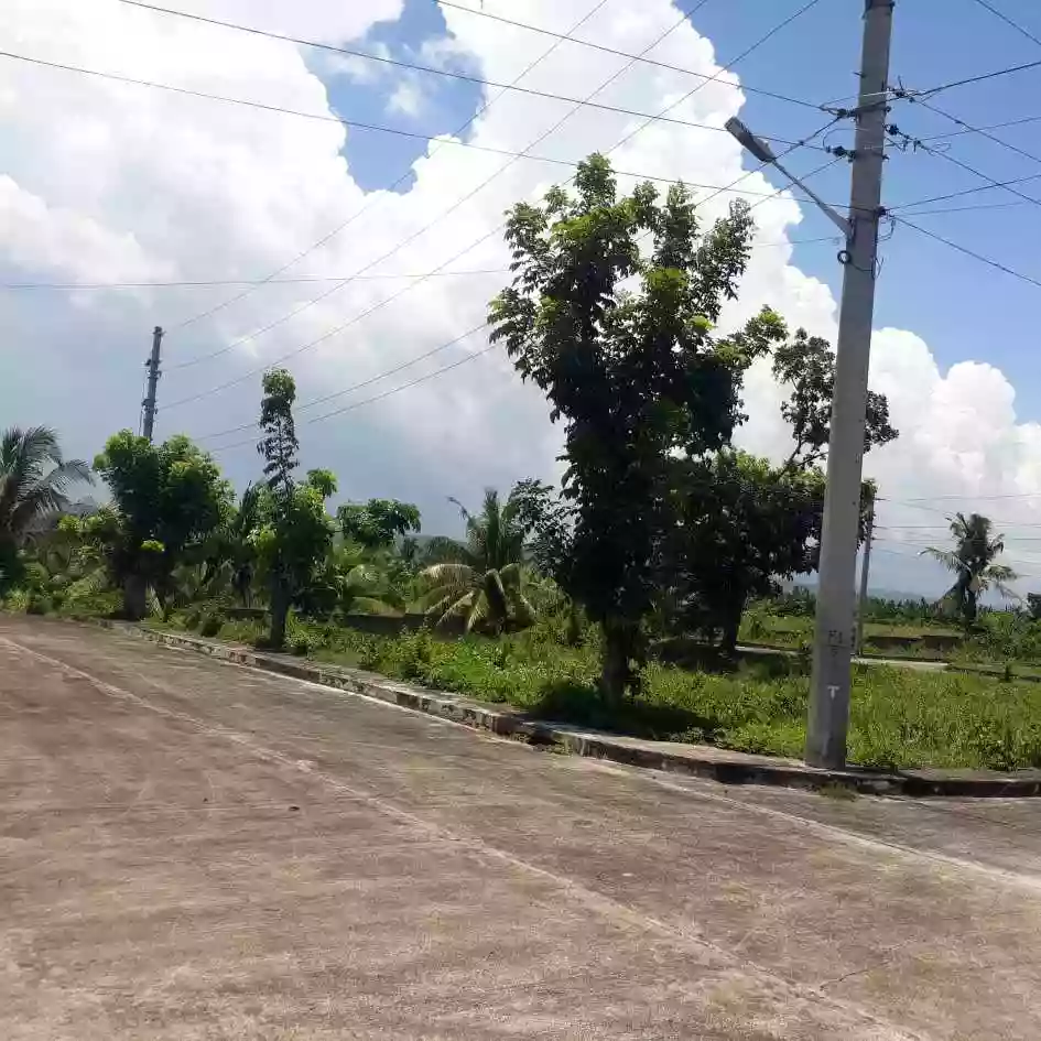 GLENROSE RESIDENTIAL LOT FOR SALE — Residential Lot in Perrelos, Carcar, Cebu — Photo 6