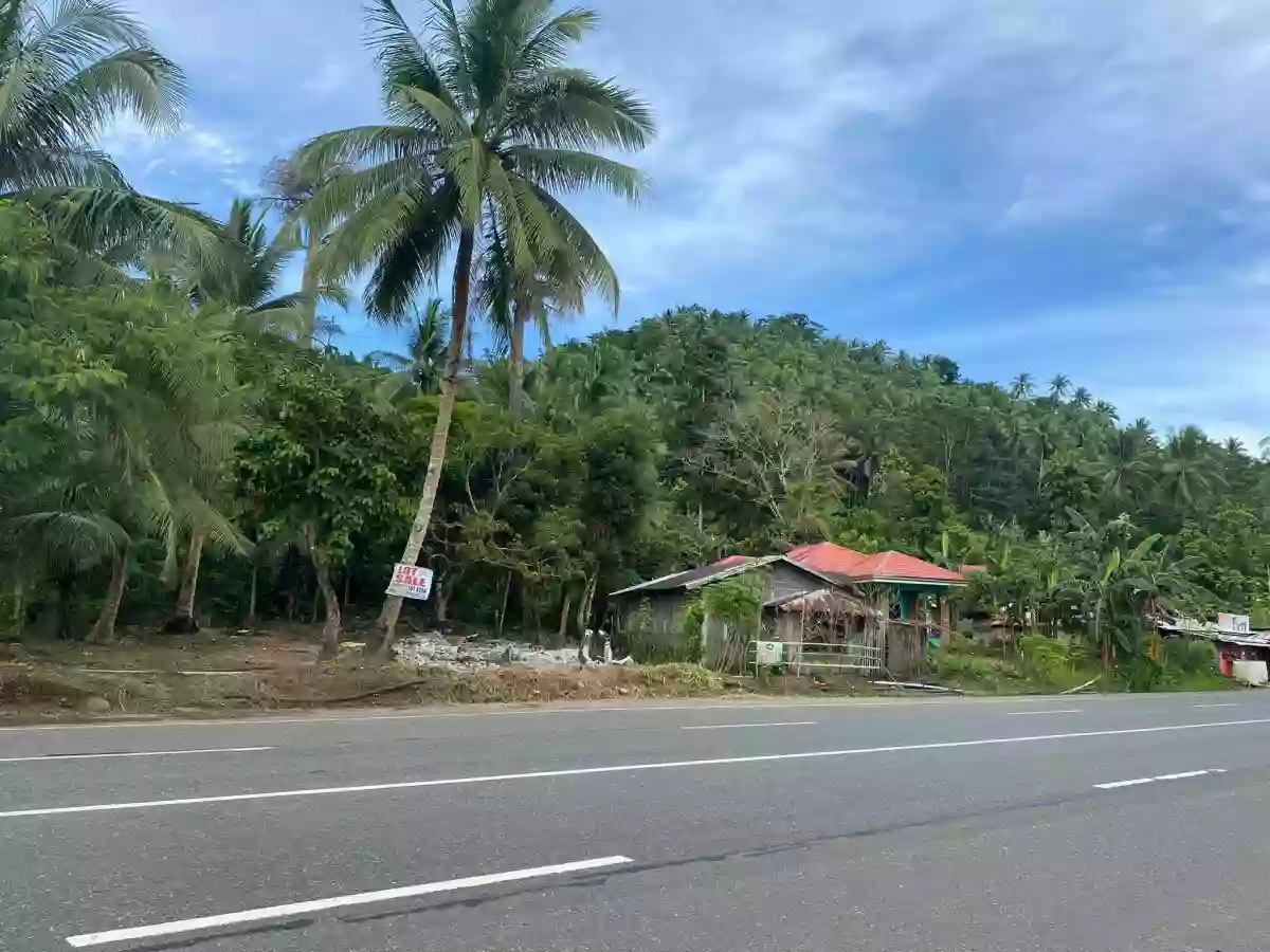 For Sale: Residential Lot Near Pongtud Elementary School, Alegria — 380 sqm — Residential Lot in Alegria, Surigao del Norte, 8425 — Photo 4