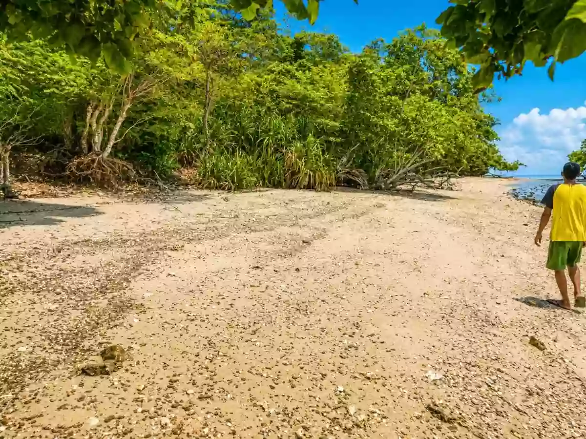 For Sale: Beach Lot in Binduyan, Puerto Princesa City — 6000 sqm — Beach Lot in Puerto Princesa City, Palawan, 5300 — Photo 2
