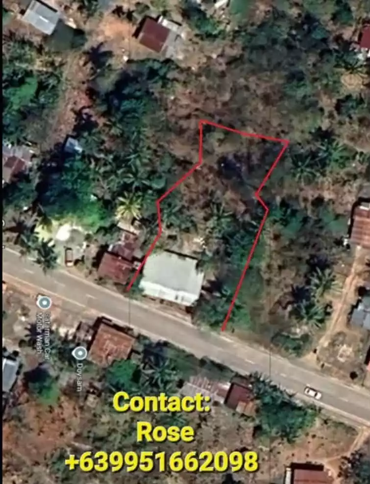 FOR SALE Lot in Catarman, Dauis, Bohol along the National Road