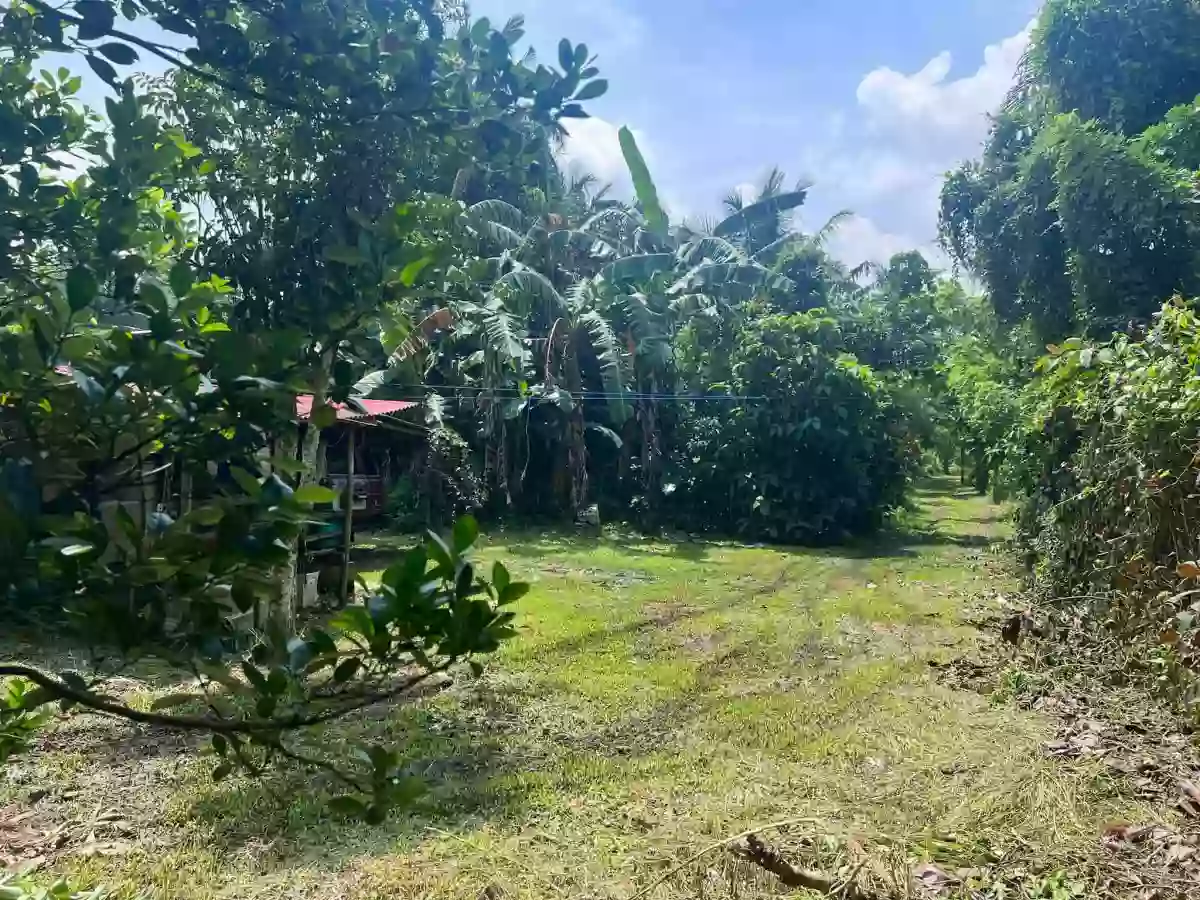For Sale: Residential Lot in Lucsuhin, Silang, Cavite — 30,500 sqm — Residential Lot in Silang, Cavite, 4118 — Photo 3