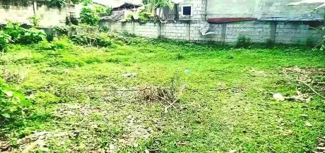 For Sale Residential Lot in Ajong, Sibulan — 258 sqm Clean Title — Residential Lot in Ajong, Sibulan, Negros Oriental — Photo 5