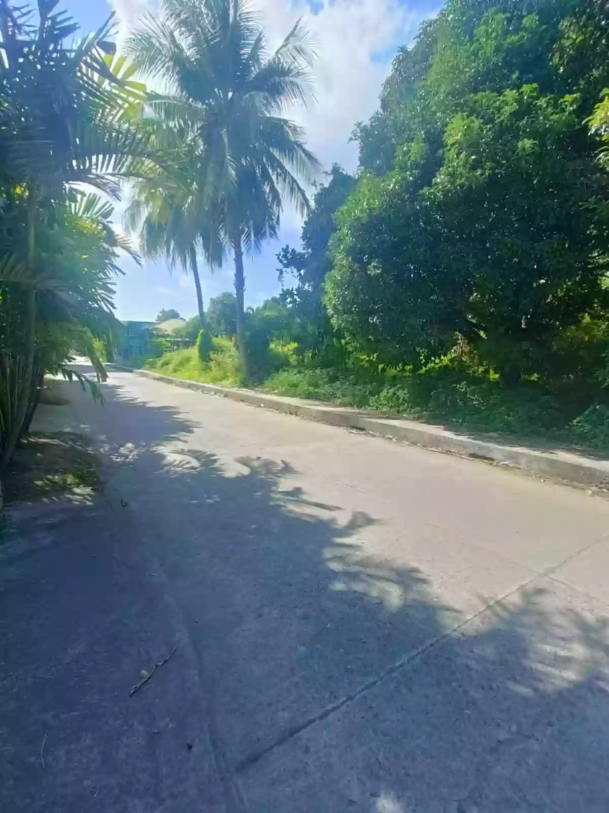 Prime Lot for Sale in Banilad, Dumaguete City 🏡