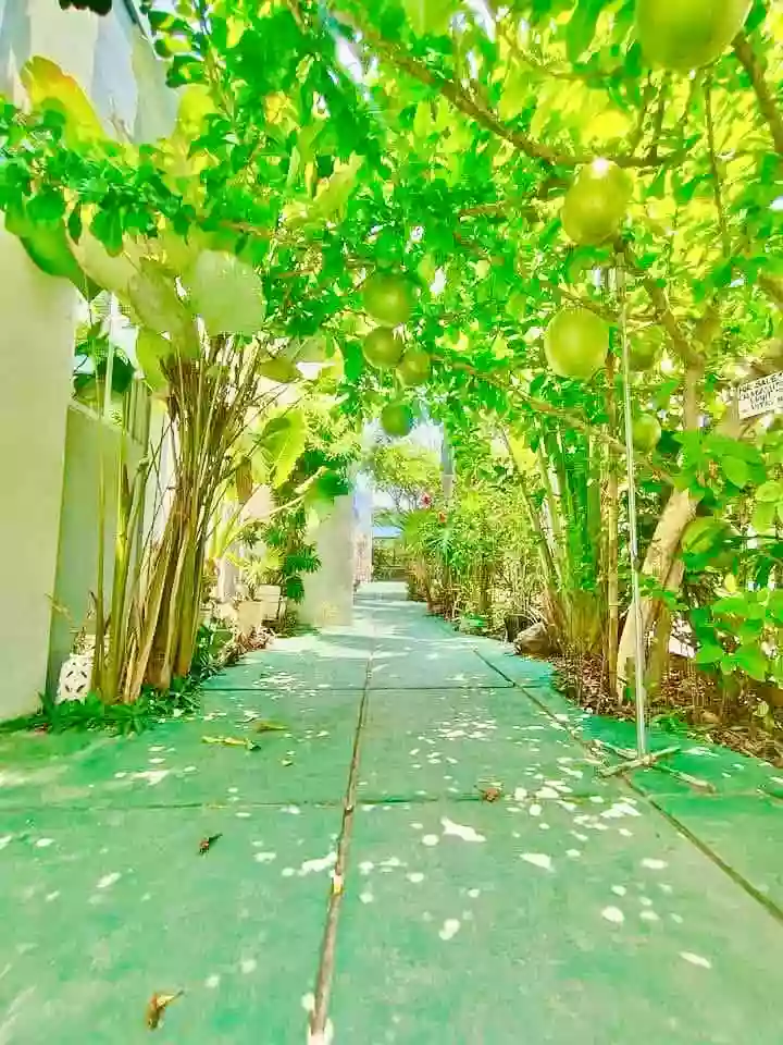 Private Resort House and Lot for Sale in Cupang Proper, Balanga City — Investors — House and Lot in Balanga City, Cupang Proper, Balanga City — Photo 7