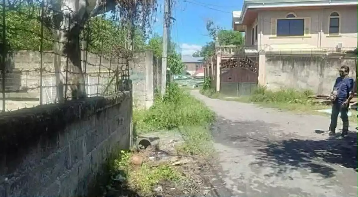 LINAO TALISAY LOT FOR SALE — Residential Lot in Talisay City, Cebu, 6045 — Photo 4