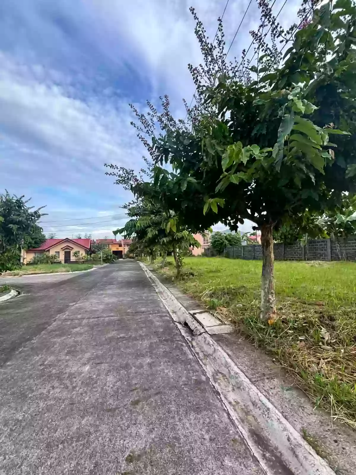 Camella Heights Residential Lot for Sale! — Residential Lot in Cararayan, Naga City, Camarines Sur — Photo 2