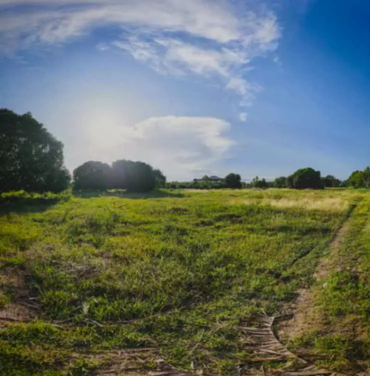 For Sale: 2 Hectare Lot in Poblacion, Alabel, Sarangani – Ideal for Investment - photo 7