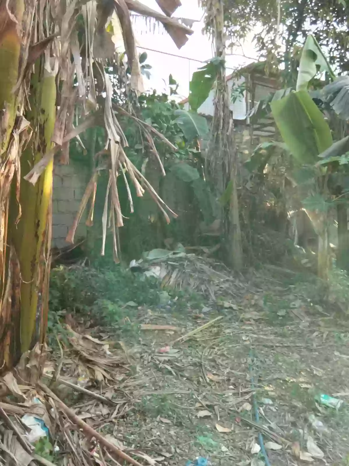 Rush Sale: Residential Lot Near East-West Bypass Road, Silang — 1000 sqm — Residential Lot in Silang, Cavite, 4118 — Photo 2