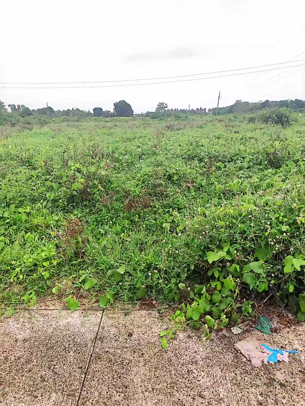 Residential Lot for Sale Near Deca Vistansa, Naga City — 208 sqm — Residential Lot in Pacol, Naga City, Camarines Sur — Photo 3