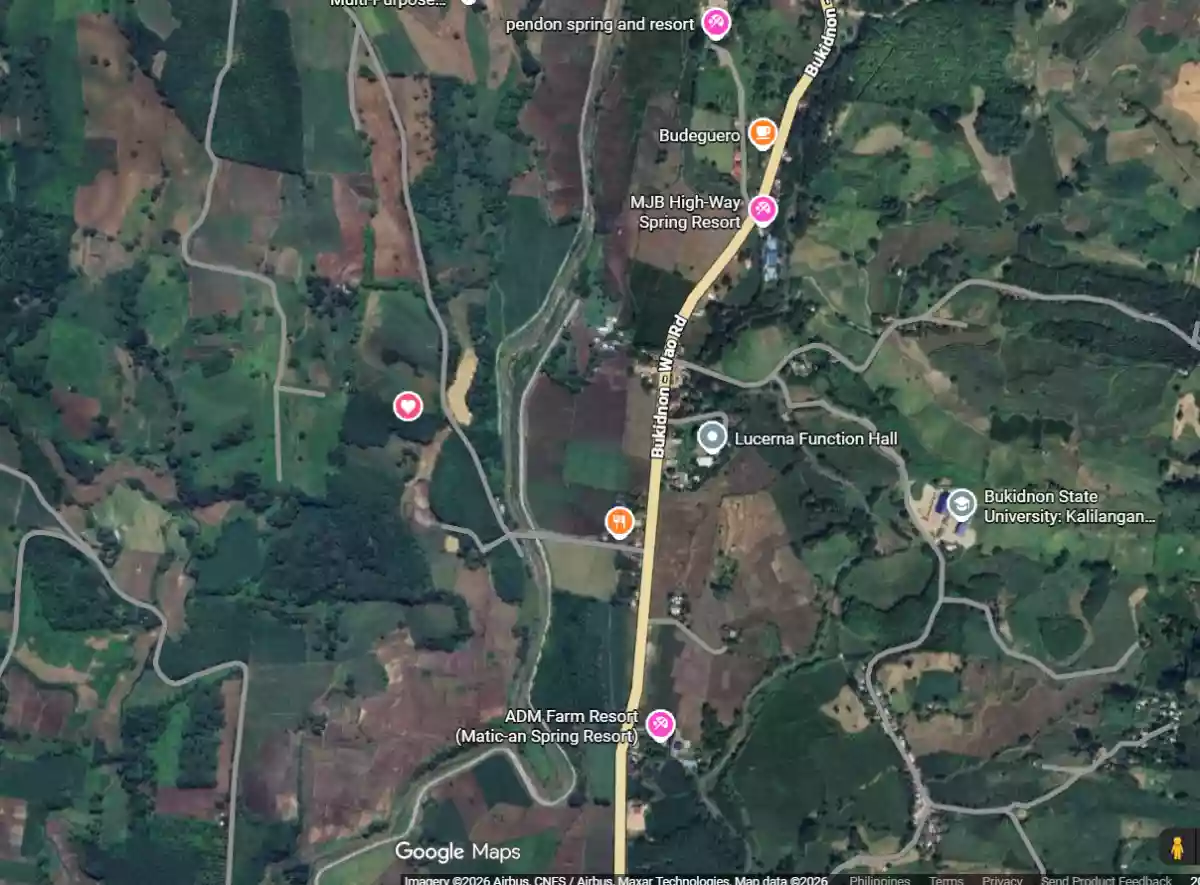 For Sale: Agricultural Lot Near National Highway, Kalilangan — 167000 sqm — Agricultural Lot in Kalilangan, Bukidnon, 8718 — Photo 2
