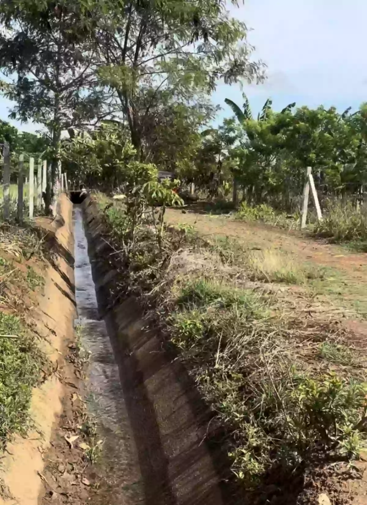 For Sale: Agricultural Lot in Liboran, Balungon, Bukidnon — 14000 sqm — Agricultural Lot in Balungon, Bukidnon, 8707 — Photo 6