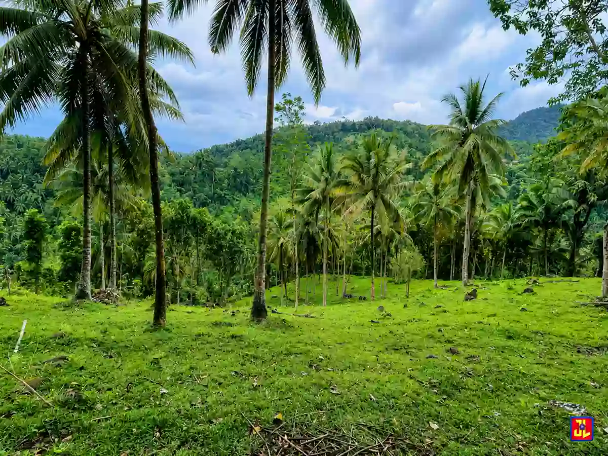 For Sale: 2,514sqm Overlooking Lot in Sagbang, Valencia, Negros Oriental [available] — Residential Lot in Valencia, Negros Oriental, 6215 — Photo 2